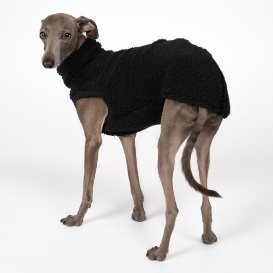 Teddy Shirt Iggy Schwarz – Hundekleidung für Dackel, Windspiele und Whippets – Rückenansicht