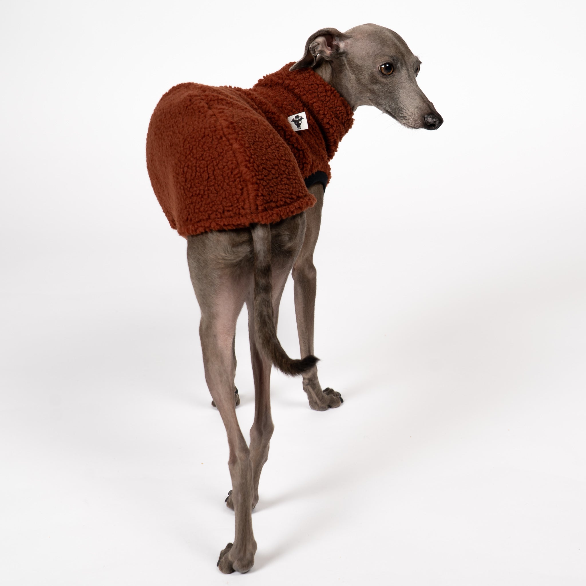 Teddy Shirt Iggy Brown – Hundekleidung für Dackel, Windspiele und Whippets – Rückenansicht