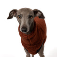 Load image into Gallery viewer, Teddy Shirt Iggy Brown – Close-up am Hund – hochwertige Hundekleidung von Karma Hund
