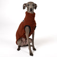 Load image into Gallery viewer, Teddy Shirt Iggy Brown – Ganzkörperansicht – stilvolle Hundekleidung für Windspiele und Windhunde
