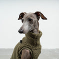 Load image into Gallery viewer, TEDDY SHIRT Iggy Dark Olive
