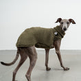 Load image into Gallery viewer, TEDDY SHIRT Iggy Dark Olive
