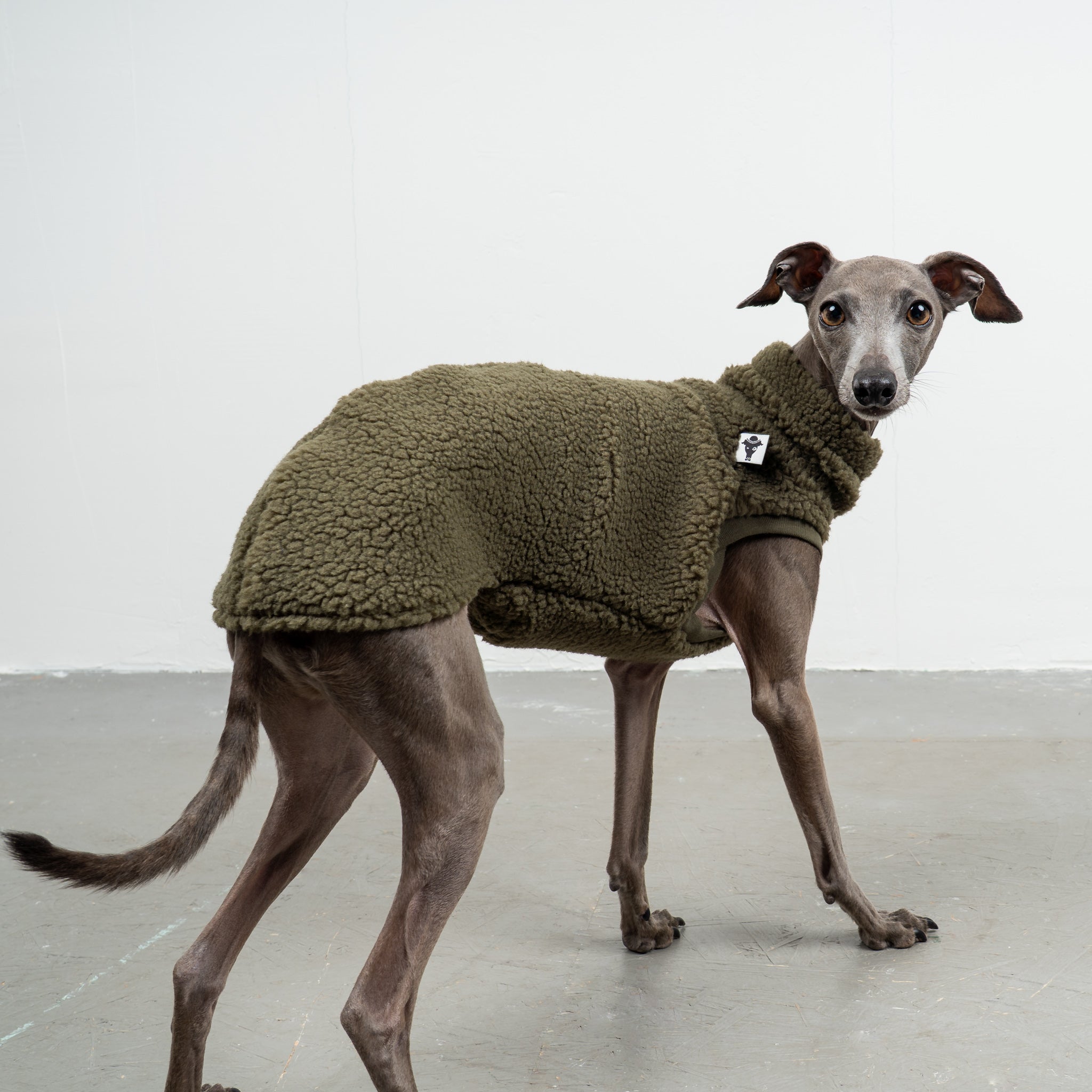 TEDDY SHIRT Iggy Dark Olive