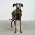 Load image into Gallery viewer, TEDDY SHIRT Iggy Dark Olive
