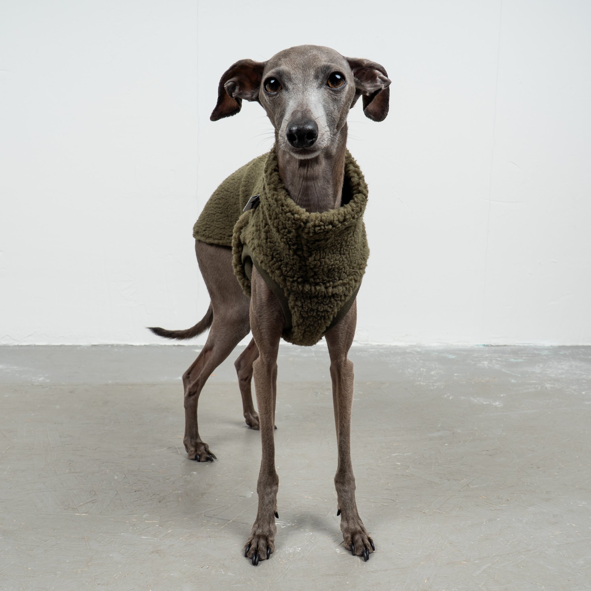 TEDDY SHIRT Iggy Dark Olive