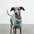 Load image into Gallery viewer, TEDDY SHIRT Iggy Mint
