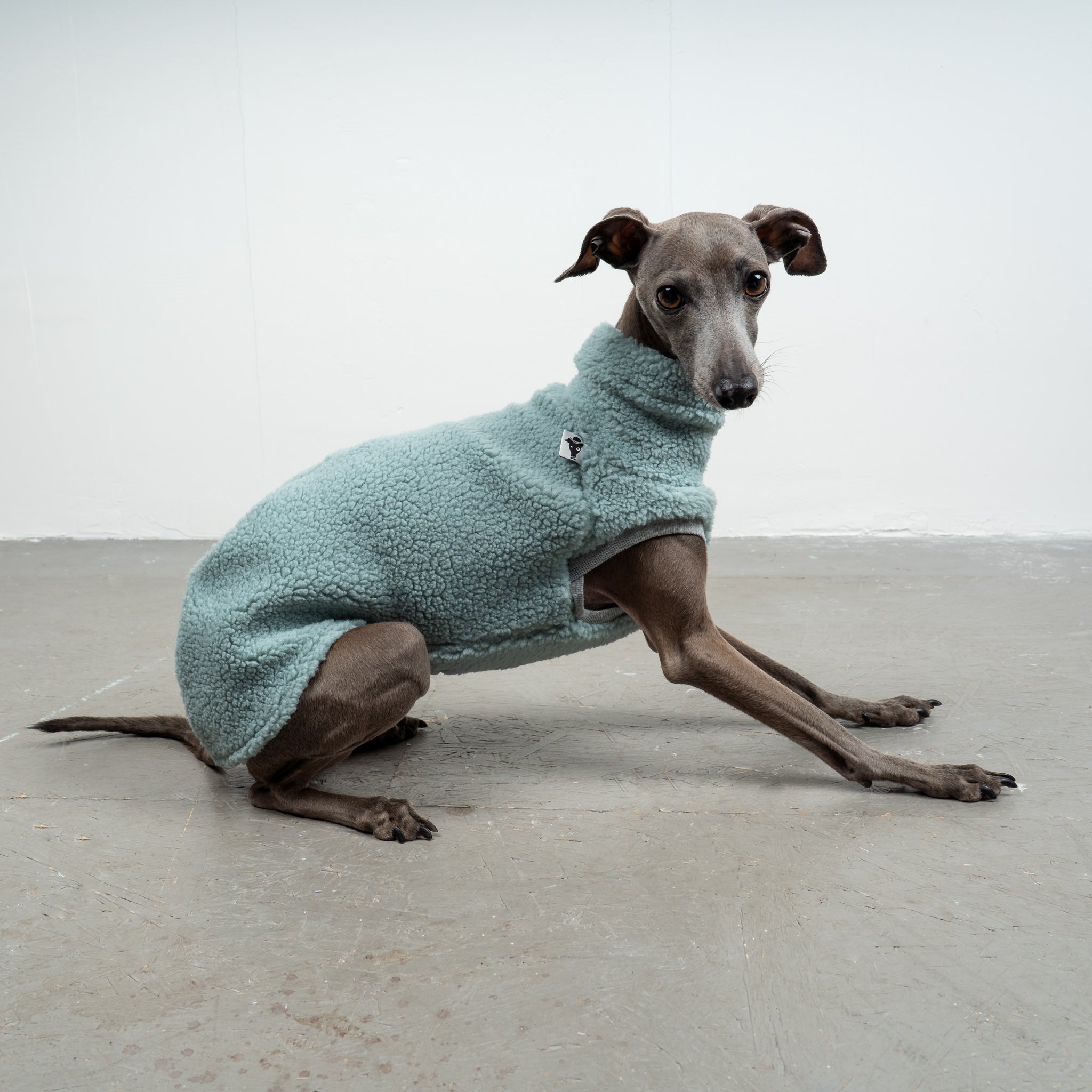 TEDDY SHIRT Iggy Mint