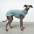 Load image into Gallery viewer, TEDDY SHIRT Iggy Mint
