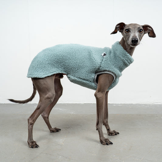 TEDDY SHIRT Iggy Mint