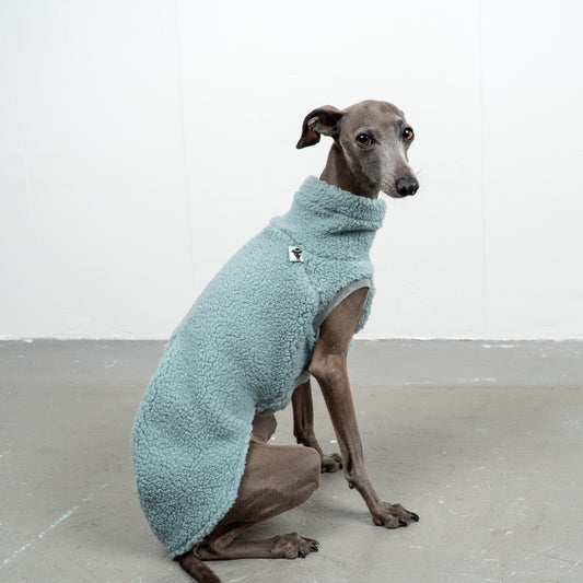 TEDDY SHIRT Iggy Mint