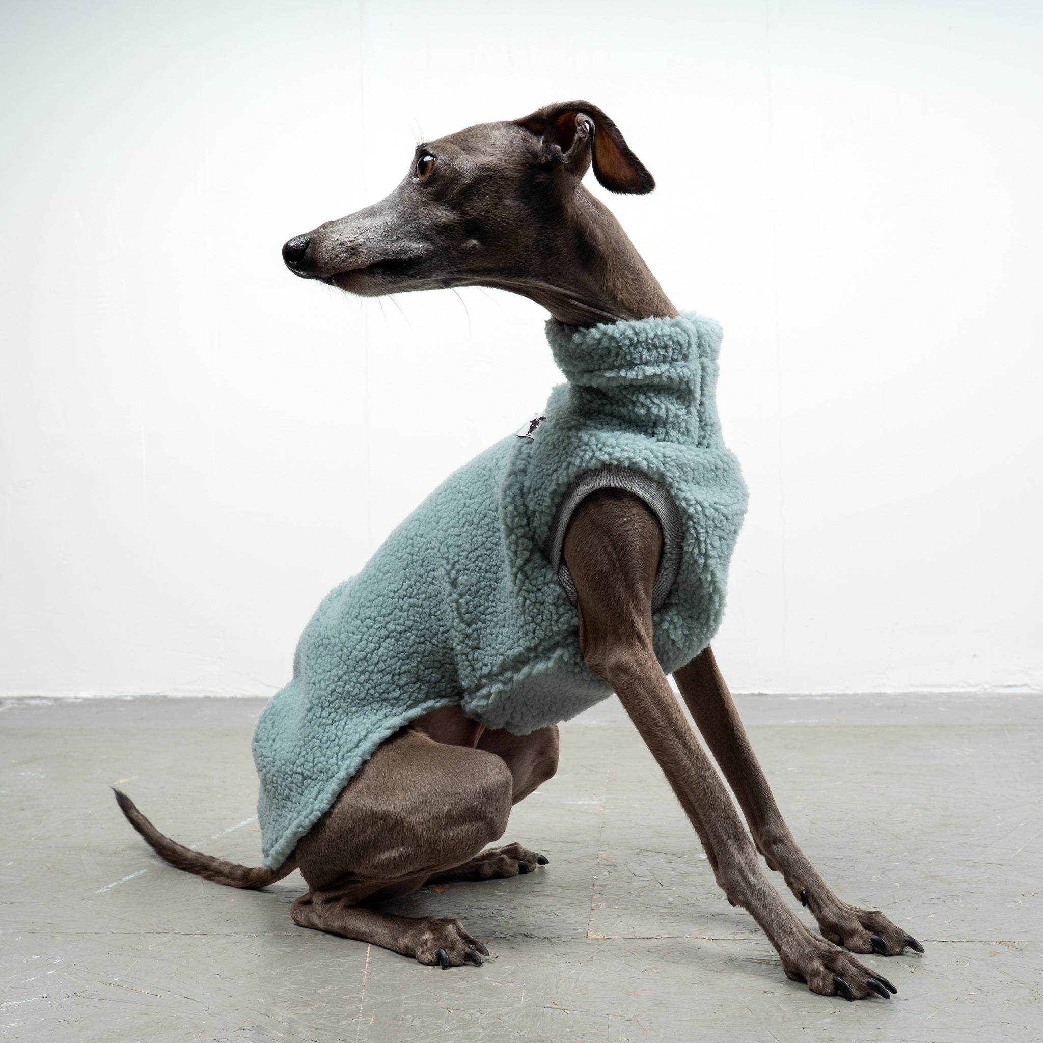 TEDDY SHIRT Iggy Mint