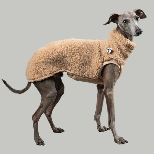 TEDDY SHIRT Iggy Sand Beige