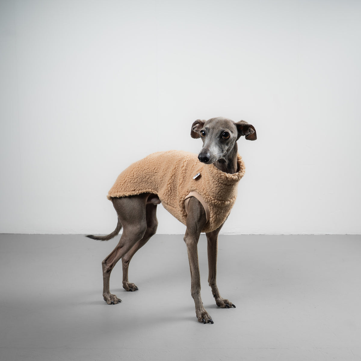 TEDDY SHIRT Iggy Sand Beige