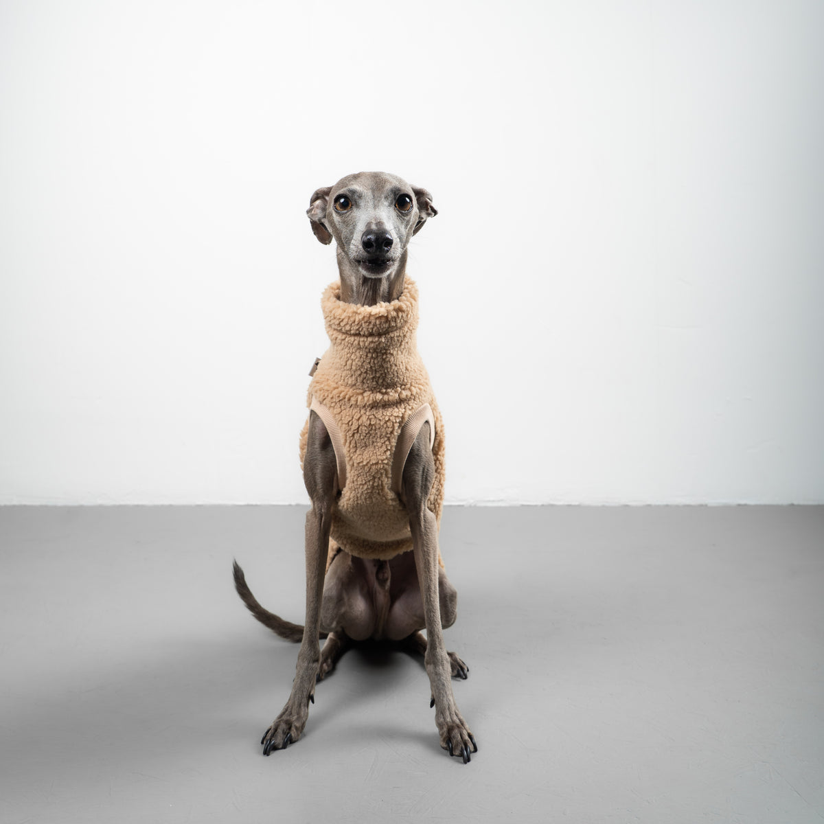 TEDDY SHIRT Iggy Sand Beige