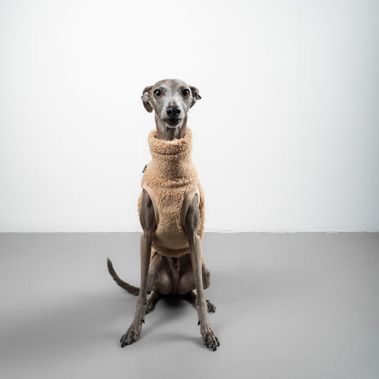 TEDDY SHIRT Iggy Sand Beige