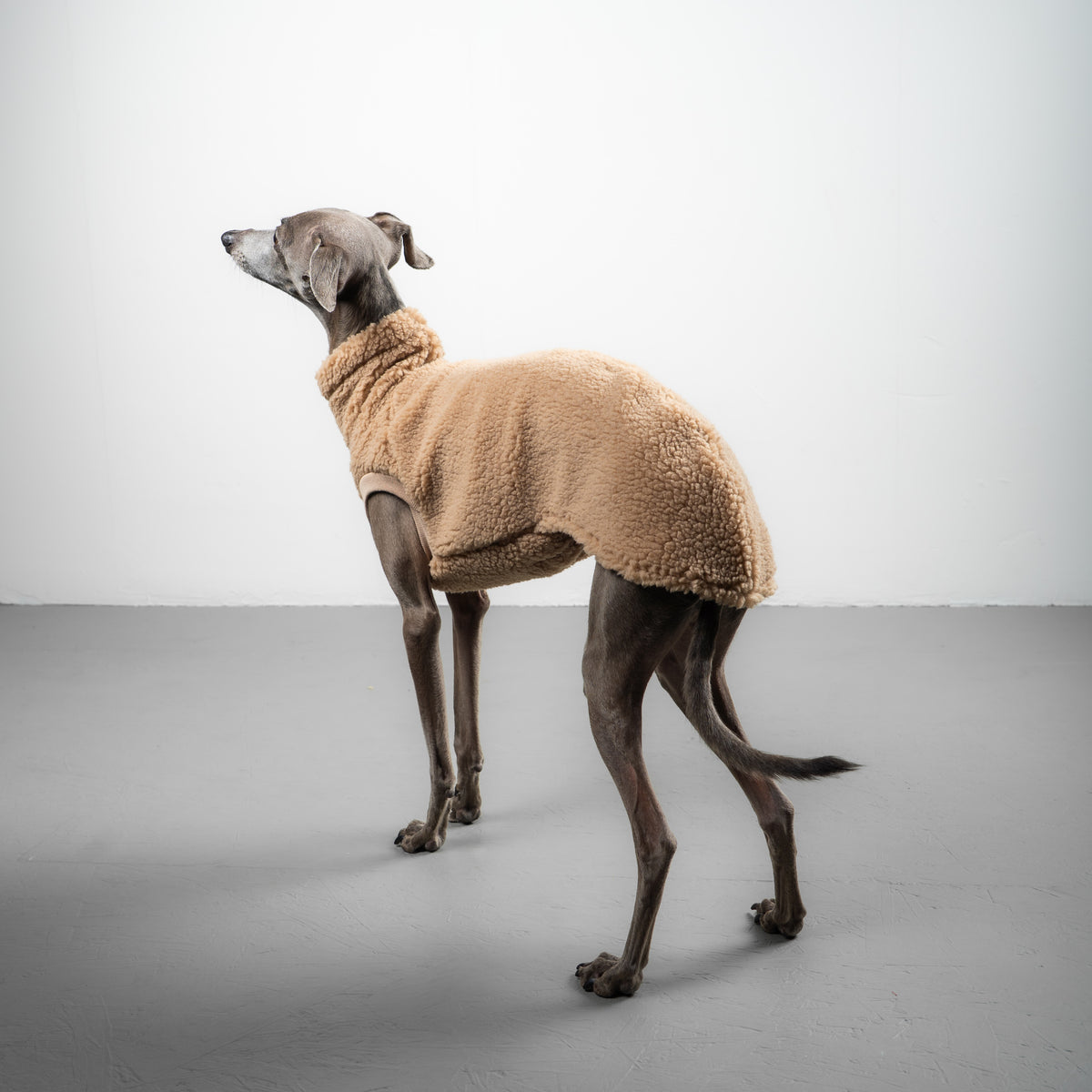 TEDDY SHIRT Iggy Sand Beige