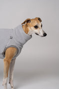 Load image into Gallery viewer, Hellgraues Teddy-Shirt für Windhunde – Komfort trifft auf Design
