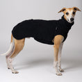Load image into Gallery viewer, Junger Whippet im flauschigen Teddy-Fleece in Schwarz – weich und wärmend
