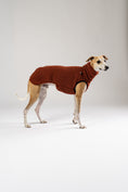 Load image into Gallery viewer, Whippet im kuscheligen Teddy Long Shirt – weiches, wärmendes Shirt für Windhunde an kühlen Tagen
