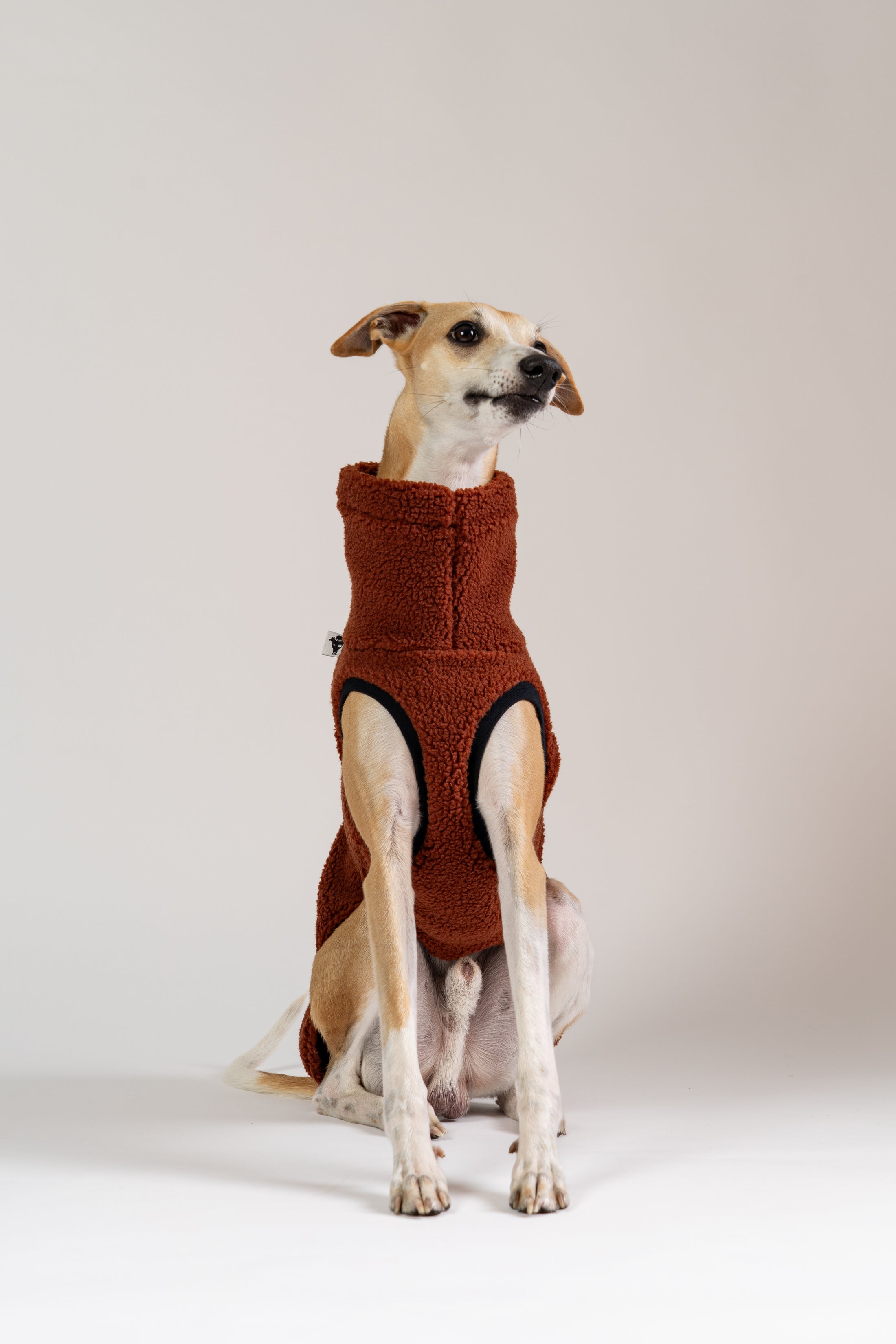 Weiches Long Shirt für Whippets aus Teddy-Fleece – idealer Kälteschutz mit Stil und Komfort