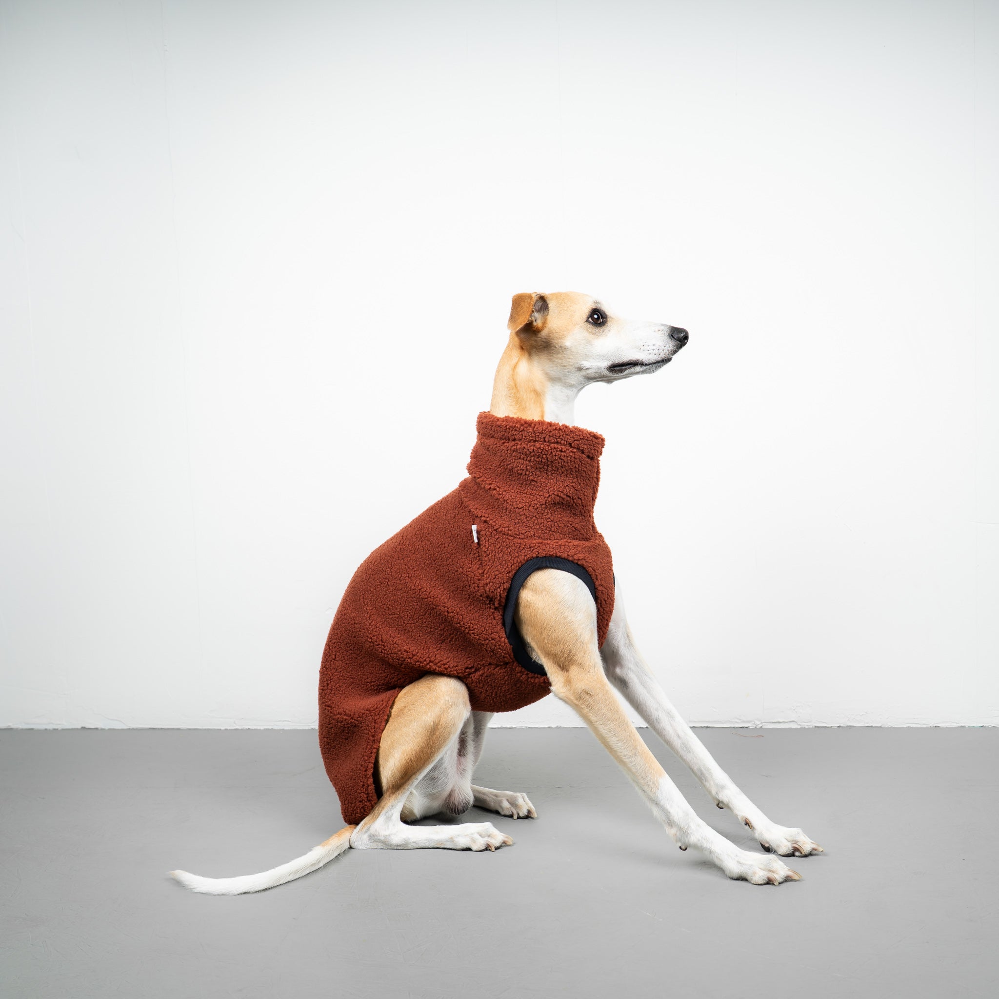 TEDDY SHIRT Windhund Rostbraun