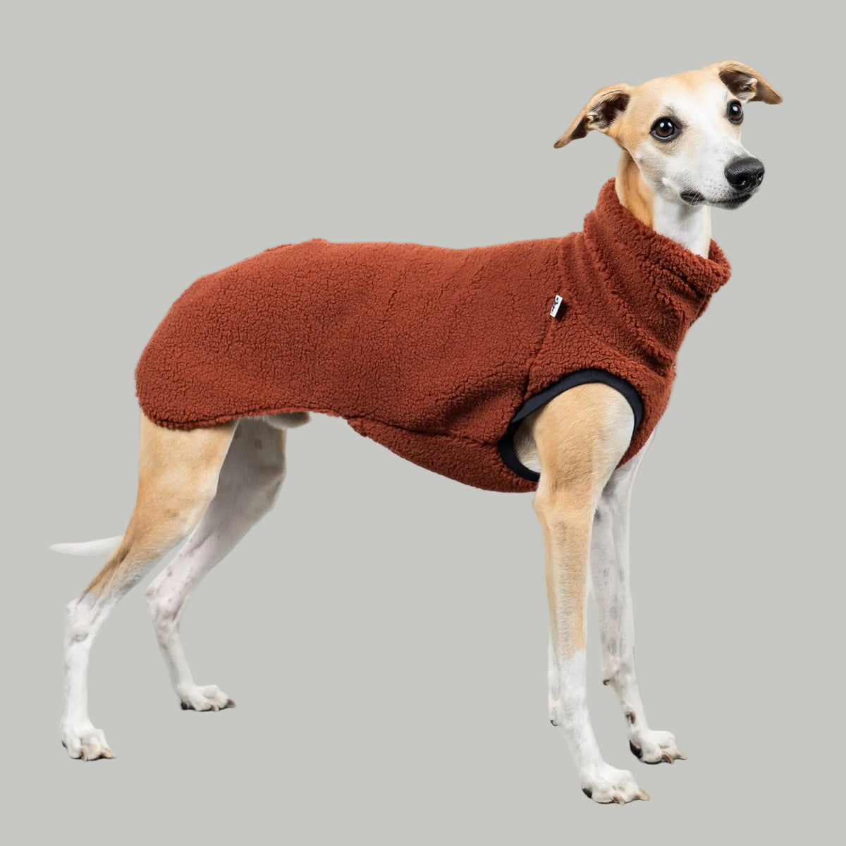 TEDDY SHIRT Windhund Rostbraun