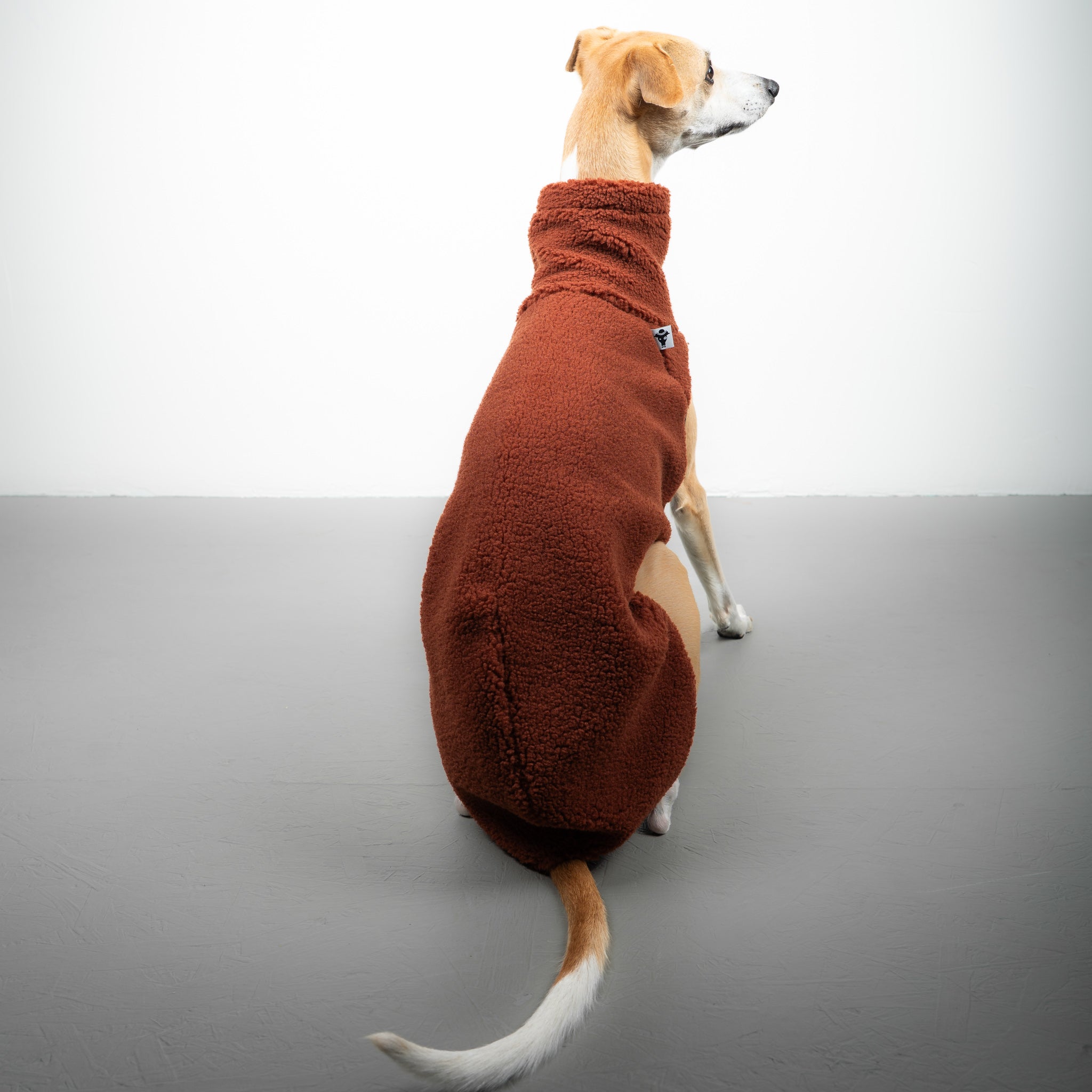 TEDDY SHIRT Windhund Rostbraun