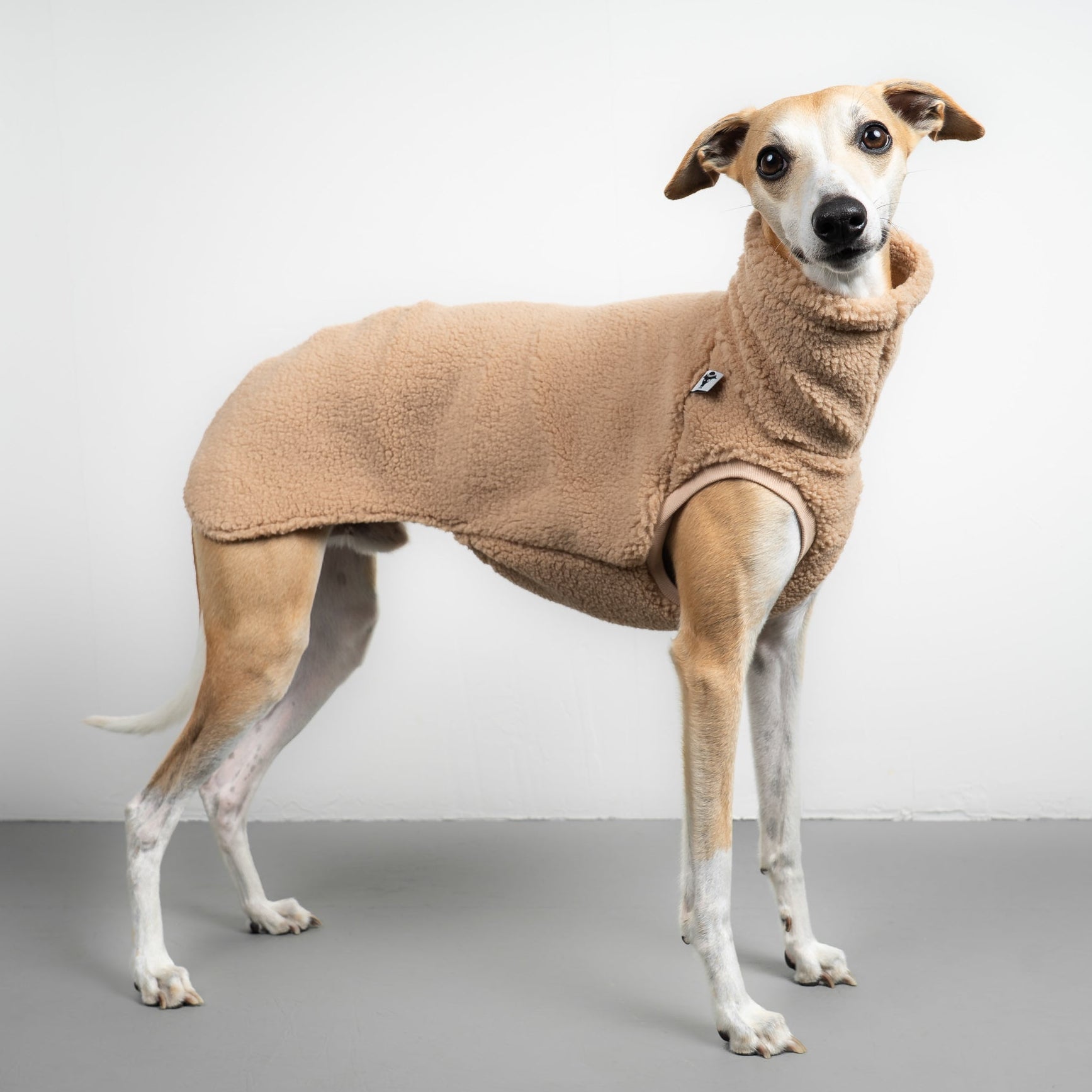 TEDDY SHIRT Windhund Sand Beige