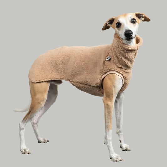 TEDDY SHIRT Windhund Sand Beige