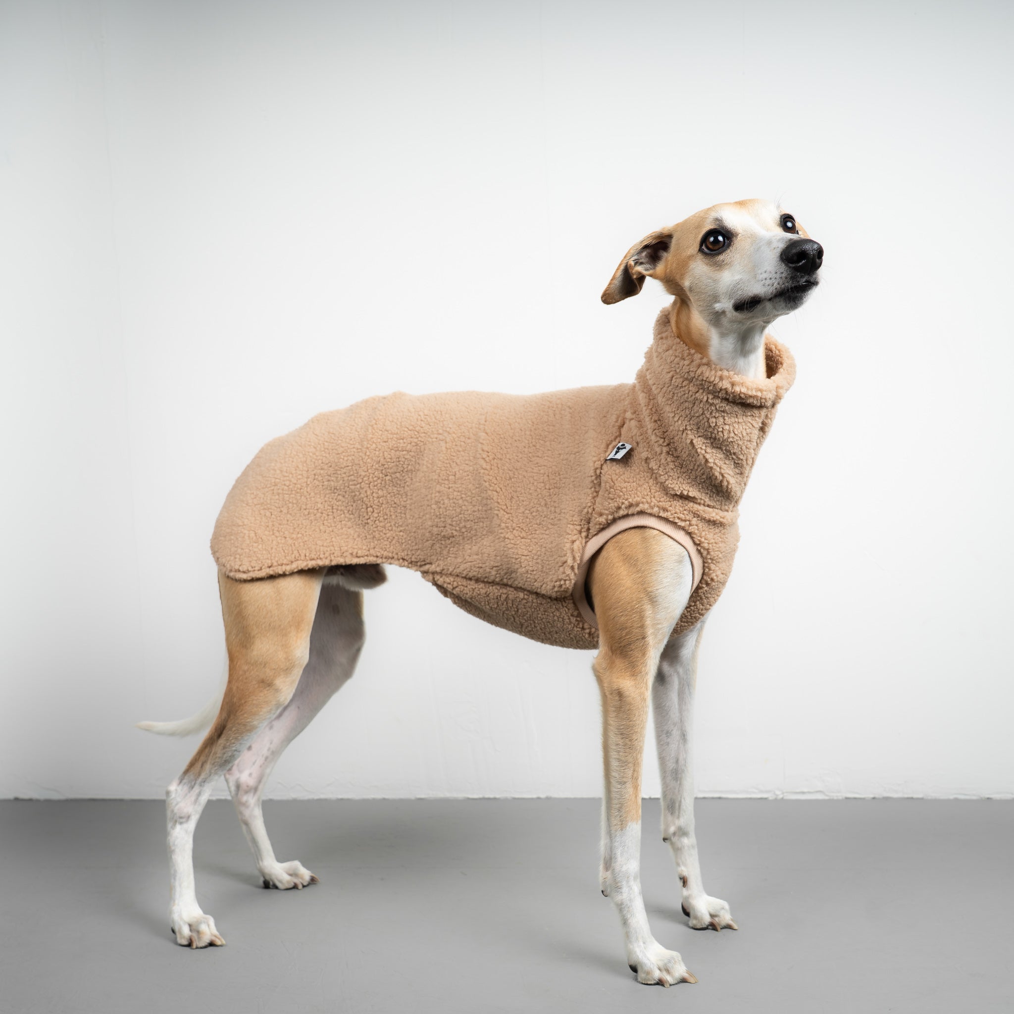TEDDY SHIRT Windhund Sand Beige