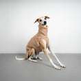 Load image into Gallery viewer, TEDDY SHIRT Windhund Sand Beige
