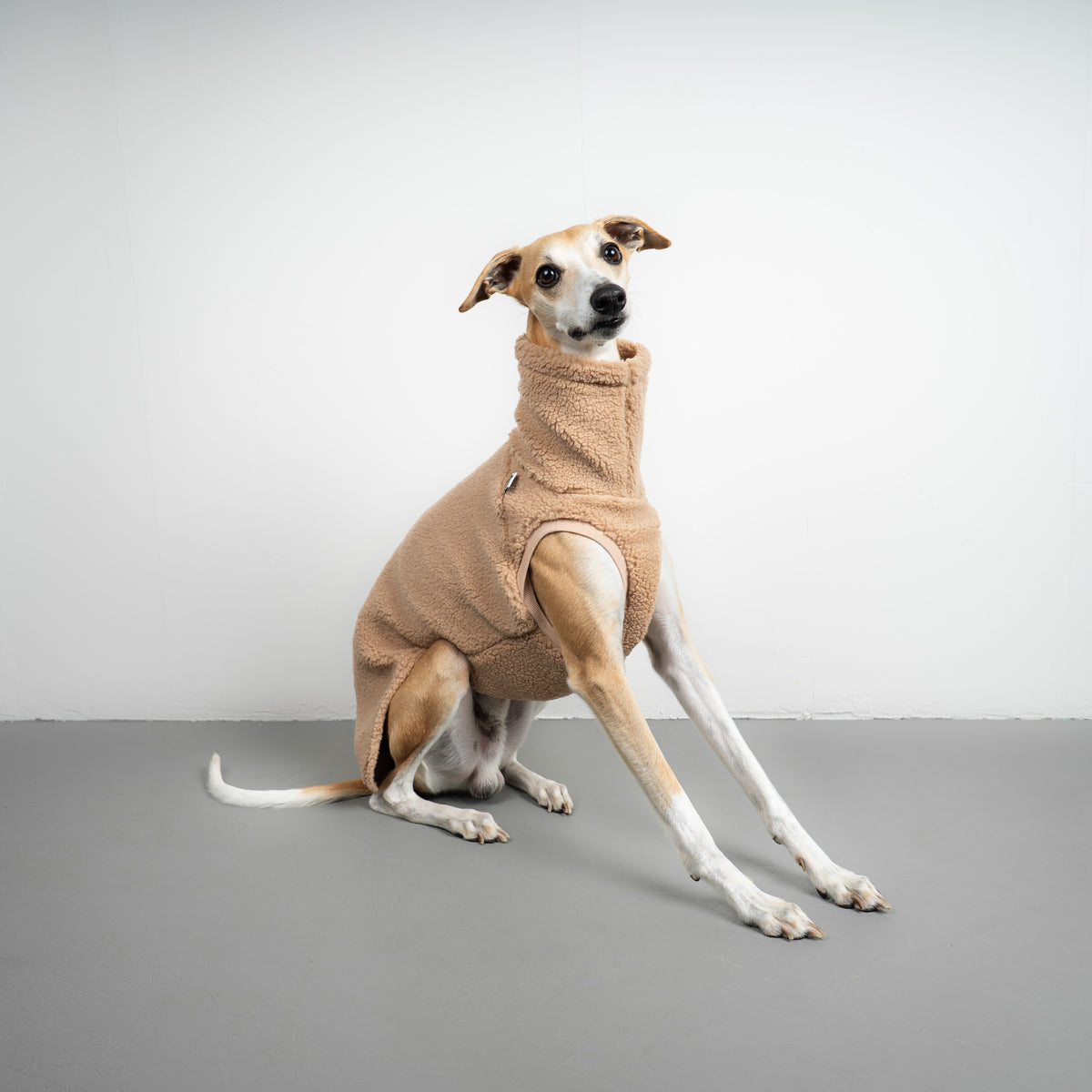 TEDDY SHIRT Windhund Sand Beige
