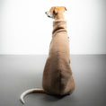 Load image into Gallery viewer, TEDDY SHIRT Windhund Sand Beige

