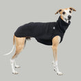 Load image into Gallery viewer, TEDDY SHIRT Windhund Schwarz
