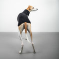 Load image into Gallery viewer, TEDDY SHIRT Windhund Schwarz
