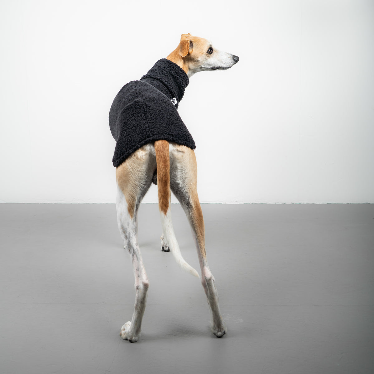 TEDDY SHIRT Windhund Schwarz