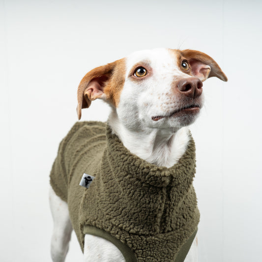 TEDDY SHIRT Windhund Olivgrün