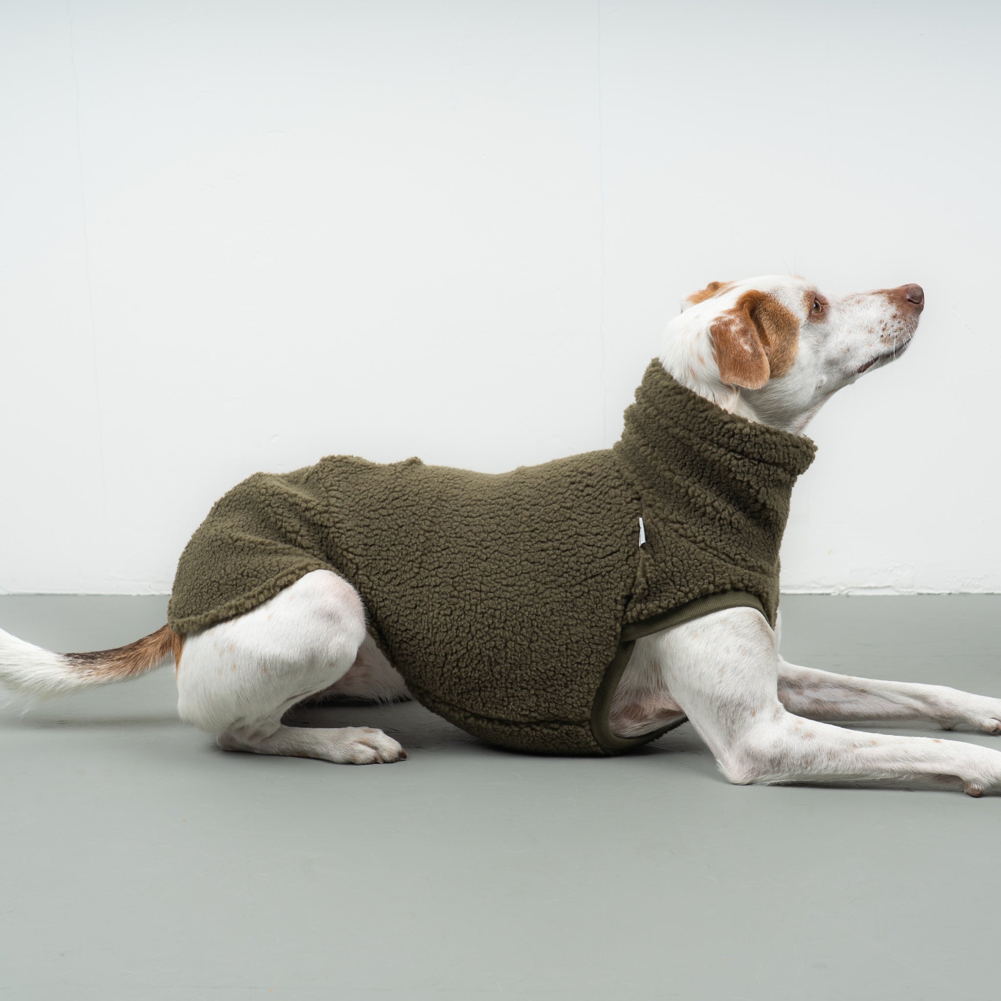 TEDDY SHIRT Windhund Olivgrün