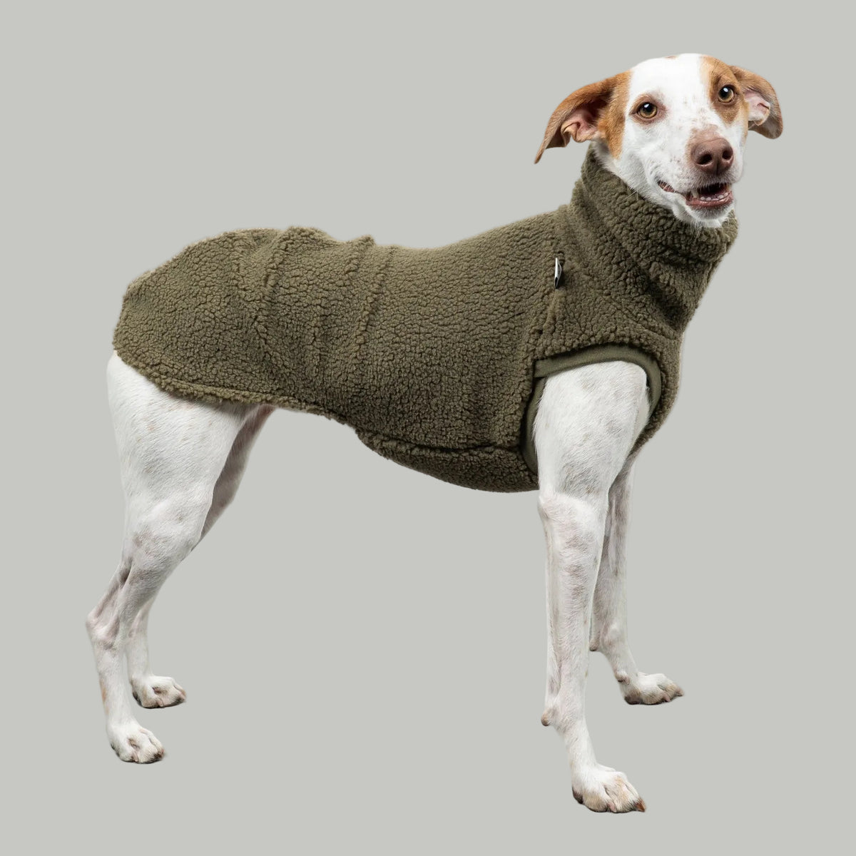 TEDDY SHIRT Windhund Olivgrün