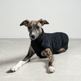 Load image into Gallery viewer, TEDDY SHIRT Windhund Schwarz

