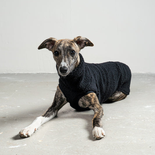 TEDDY SHIRT Windhund Schwarz