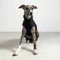 Load image into Gallery viewer, TEDDY SHIRT Windhund Schwarz
