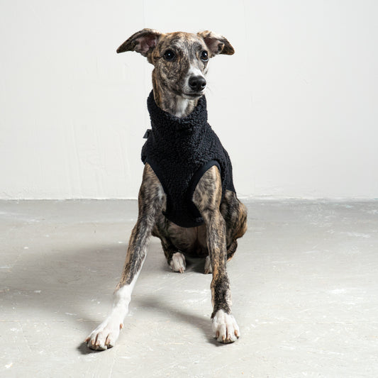 TEDDY SHIRT Windhund Schwarz
