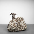 Load image into Gallery viewer, Teddy Shopper LEO Light
