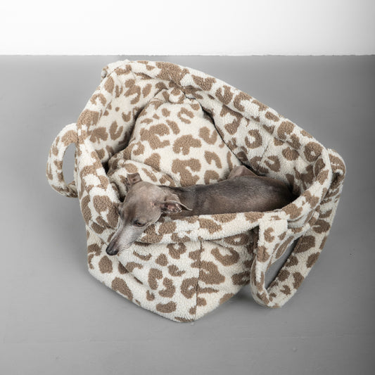 Teddy Shopper LEO Light