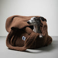 Load image into Gallery viewer, Teddy Shopper BROWN
