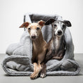 Load image into Gallery viewer, Teddy Shopper GREY
