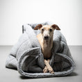 Load image into Gallery viewer, Teddy Shopper GREY
