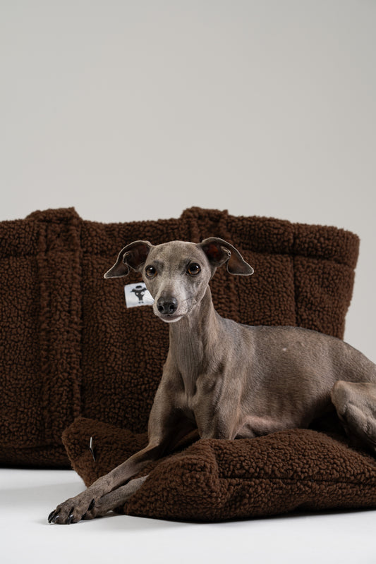 Brauner Teddy Shopper von Karma Hund mit einem kleinen italienischen Windspiel darin – ideal als mobiles Hundebett für unterwegs, Café oder Bahn.