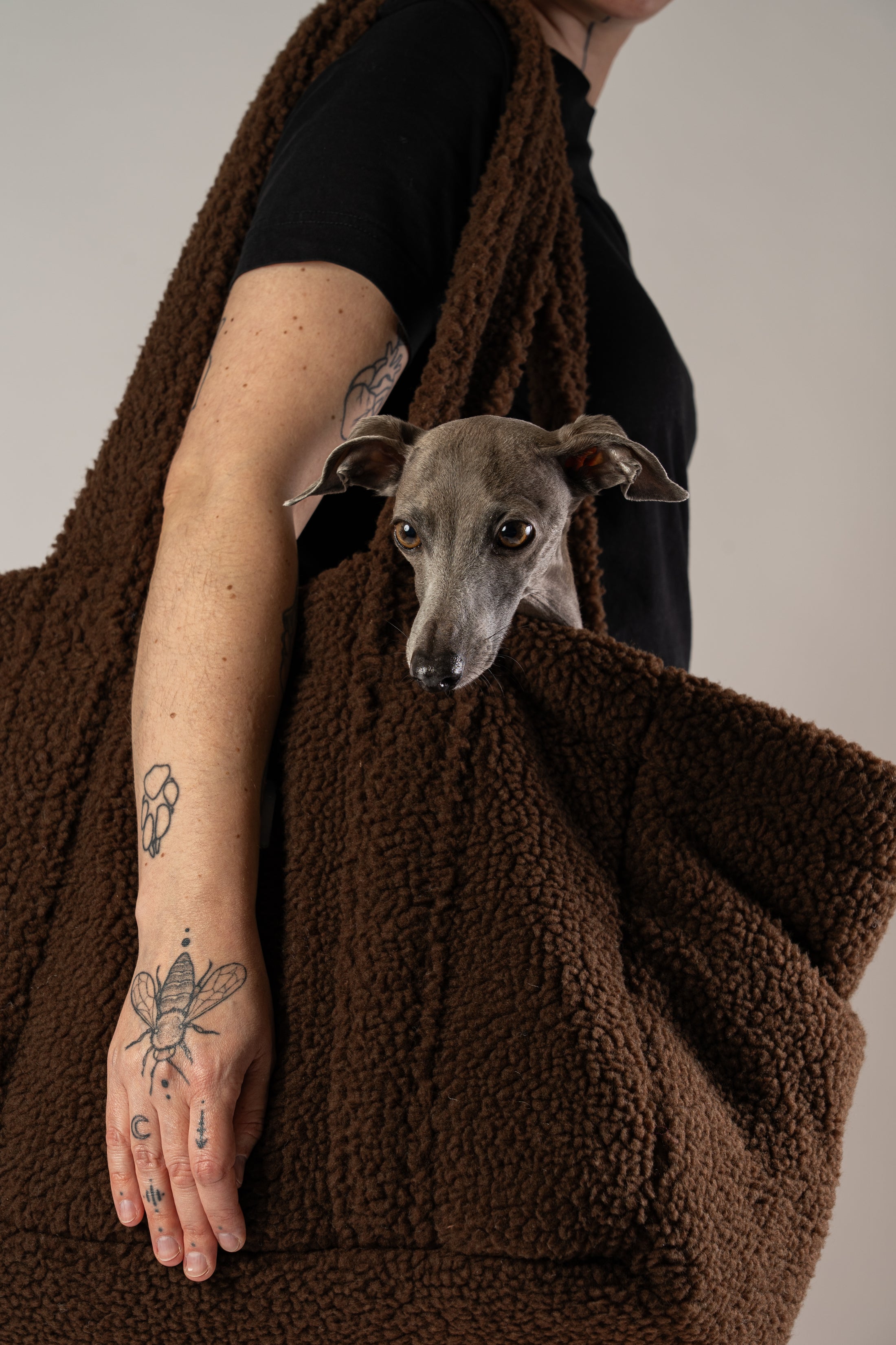 Kuscheliger Teddy Shopper aus braunem Teddy-Stoff von Karma Hund, genutzt als gemütlicher Rückzugsort für kleine Hunde – hier mit einem italienischen Windspiel.